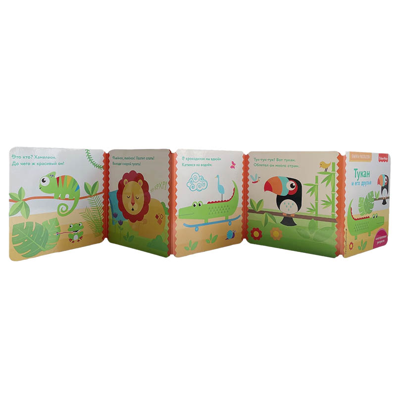 Long Flap Book