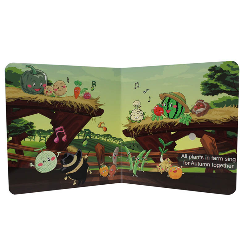 Sensor Sound Book