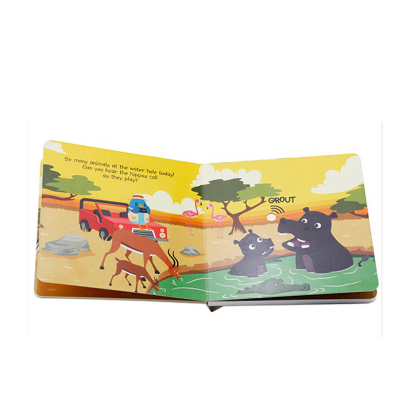 Sensor Sound Book a1
