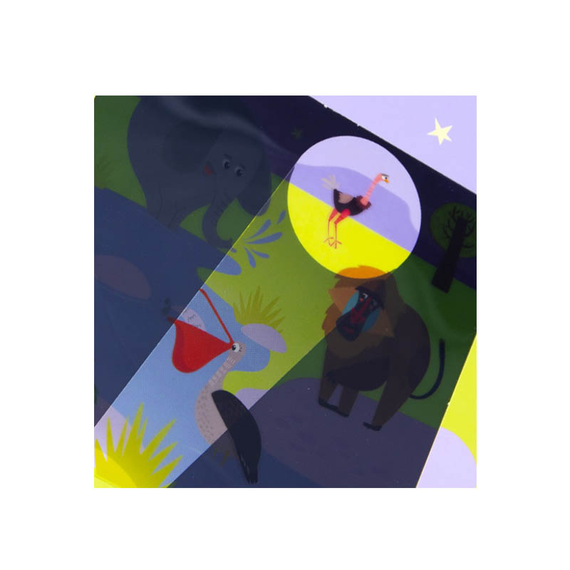 Torch Light Magic Book2