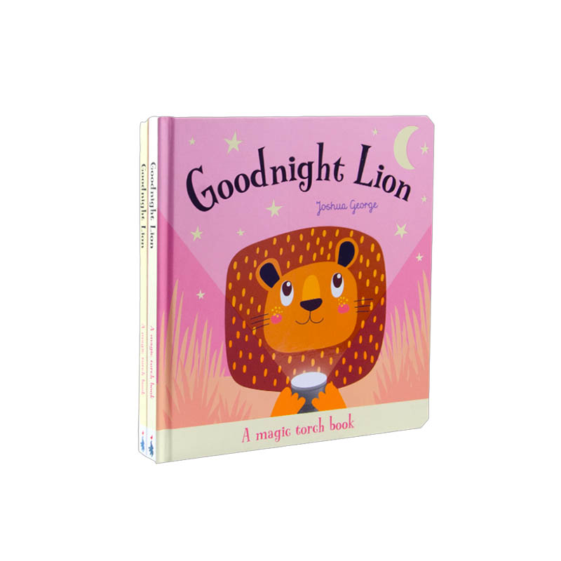 Torch Light Magic Book1